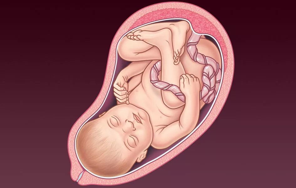 Плод ребенка на 30 неделе беременности. Ребёнок 30 неделя беременности в утробе. Малыш на 38 неделе беременности. 38 недель что происходит с малышом