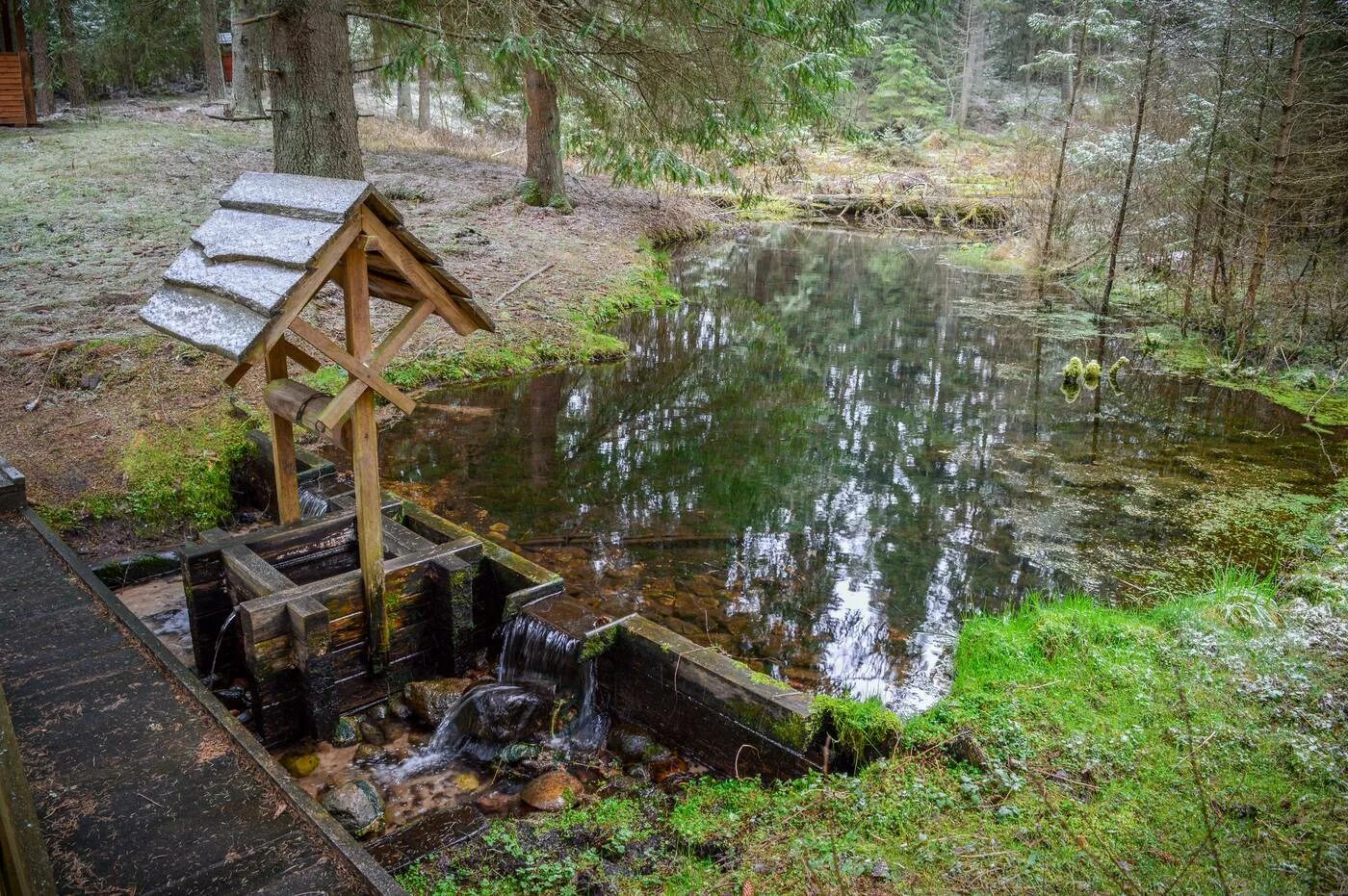 Шагов родники. Родник три Ивана. Родник "монастырский Колодезь". Источник три Ивана в Карелии. Родник преподобного Трифона Удмуртия.