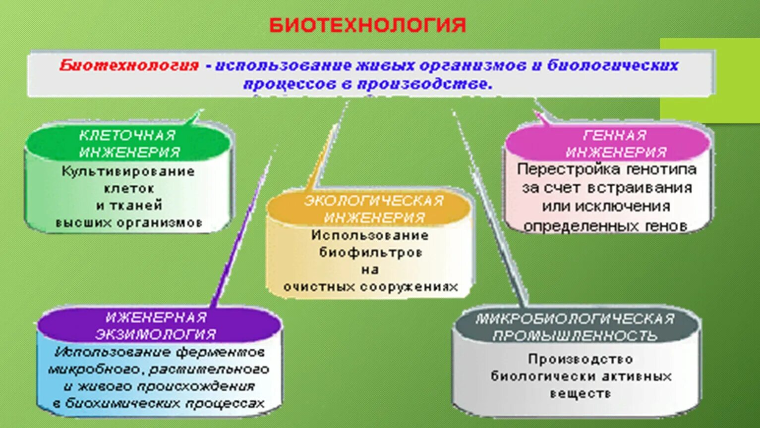 Биотехнология характеристика. Селекция и биотехнология. Селекция микроорганизмов биотехнология. Общие методы биотехнологии. Методы используемые в биотехнологии.