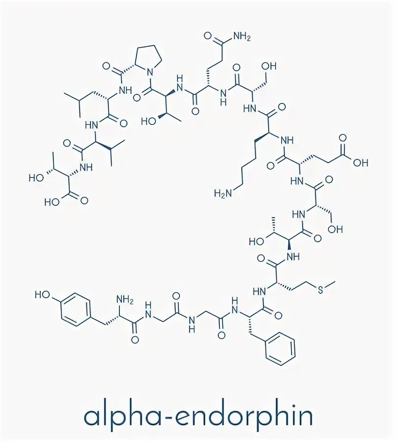 Эндорфин формула. Структурная формула эндорфина. Химическая формула эндорфина. Бета Эндорфин. Эндорфин speed