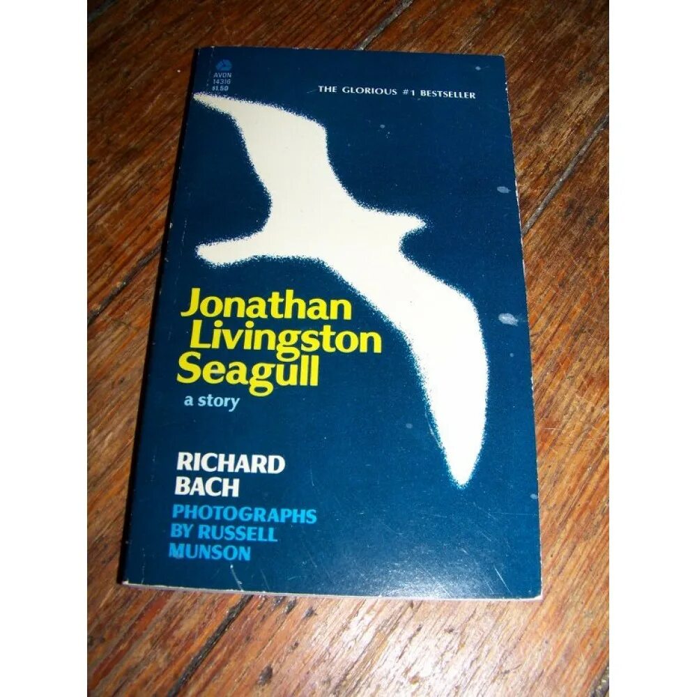 чайка по имени ливингстон. книга ричард баха чайки. чайка книга ричард бах. ричард бах чайка по имени джонатан ливингстон обложка. читать книгу чайка по имени ливингстон.