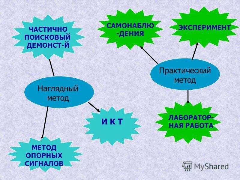 проект многообразие птиц 7 класс биология. разработка урока биологии что это. методическая разработка урока биологии. стратегии на уроке биологии. тесты по общей биологии.