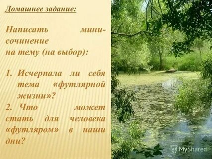 Мини сочинение на тему папа