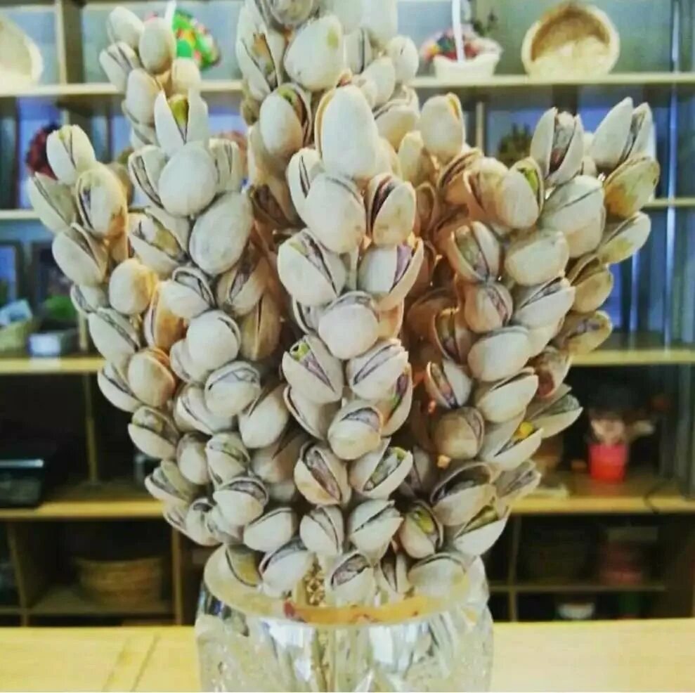 Фисташковые скорлупки