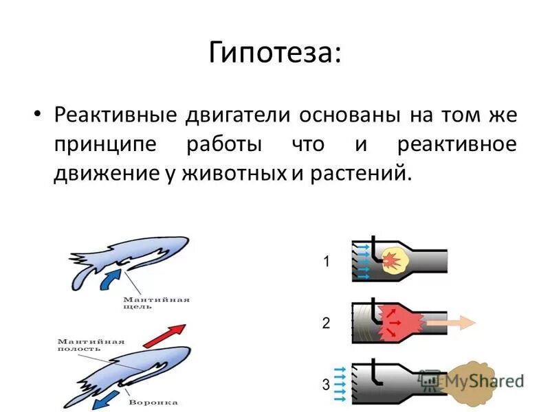 Суть реактивного движения