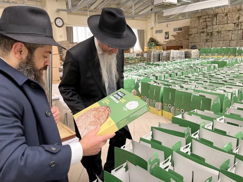 Штернберг еврейский конгресс. Цадик хаим. Курбанов андрей владимирович художник. Цадик. Раввины хасиды.