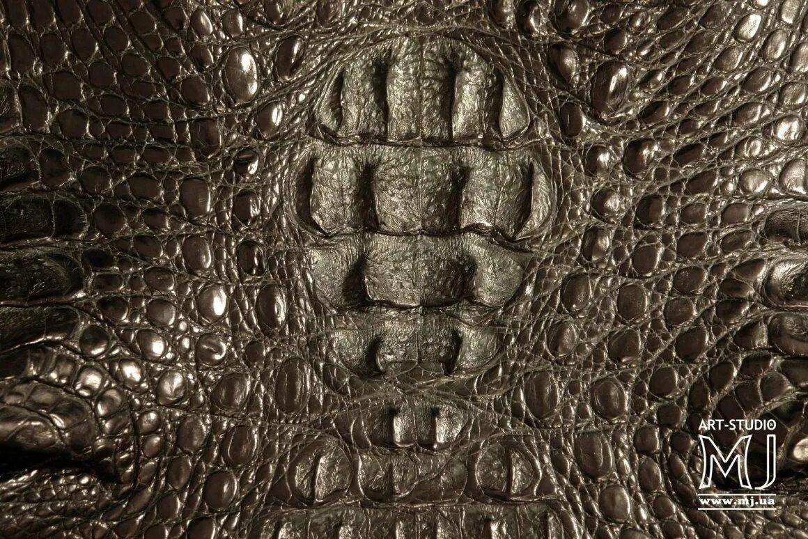 Python leather