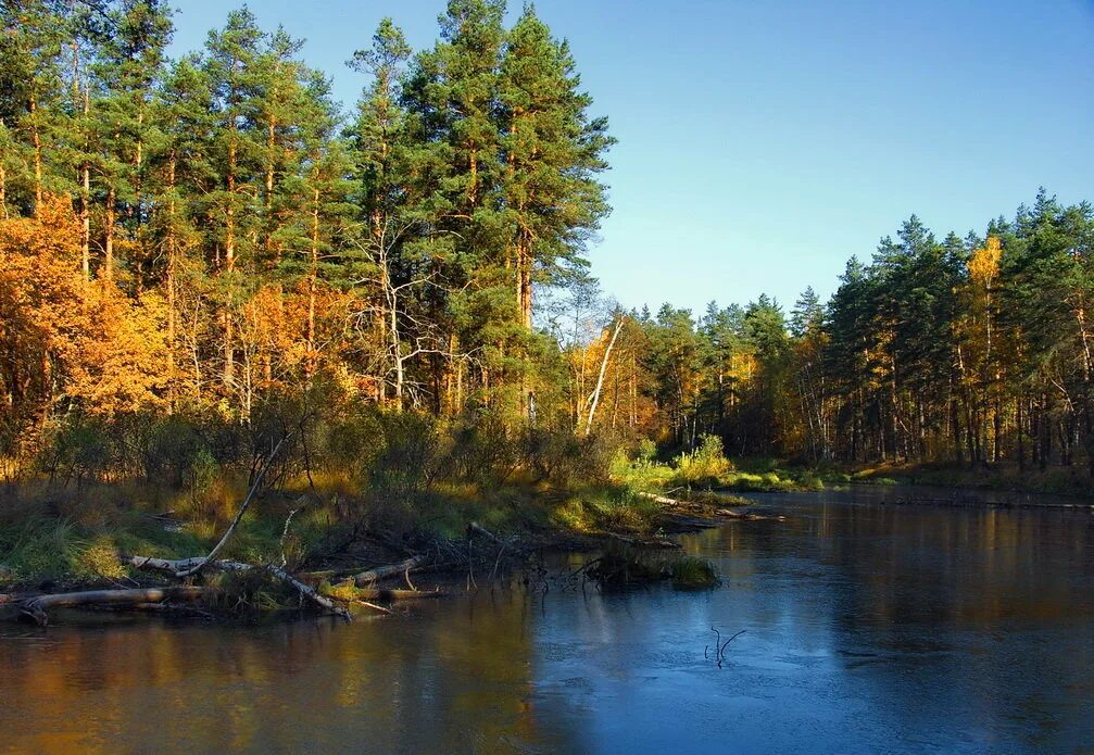 Мещера остаток. Мещера тропа Паустовского реки. Река пра Мещера. Паустовский Мещера Рязань. Река пра Паустовского.