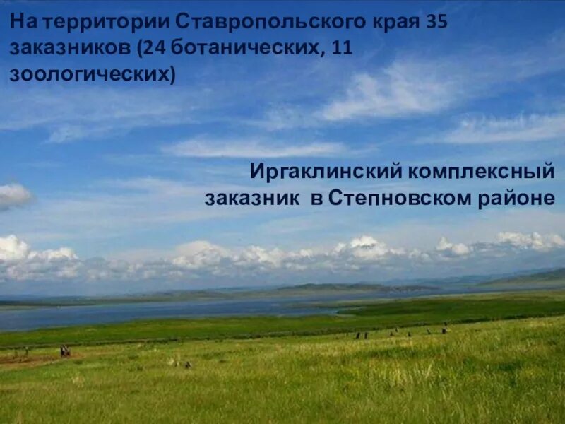 Статус ставропольского края. Иргаклинский заказник Ставропольского края. Степи природные комплексы Ставропольского края. Заказники Ставропольского края. Заповедники Ставропольского края.