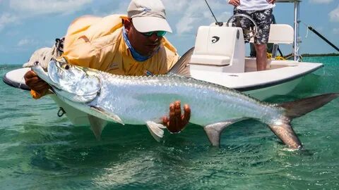 Tarpon t 5s