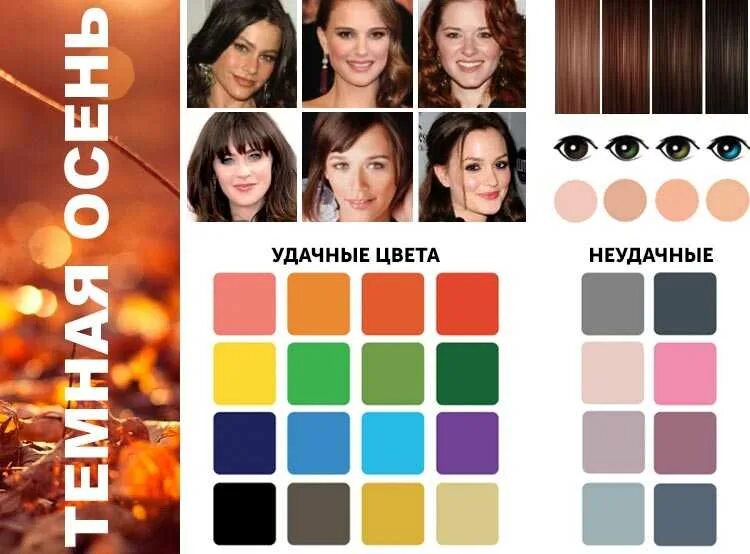 Глубокая осень цветотип палитра. Оттенки для цветотипа темная осень. Цветотип внешности глубокая осень палитра. Цветотип теплая осень. Тёмная осень цветотип палитра цветов.