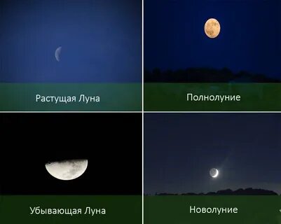 Как определить растущий месяц