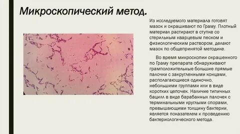 Микроскопическим методом изучают свойства