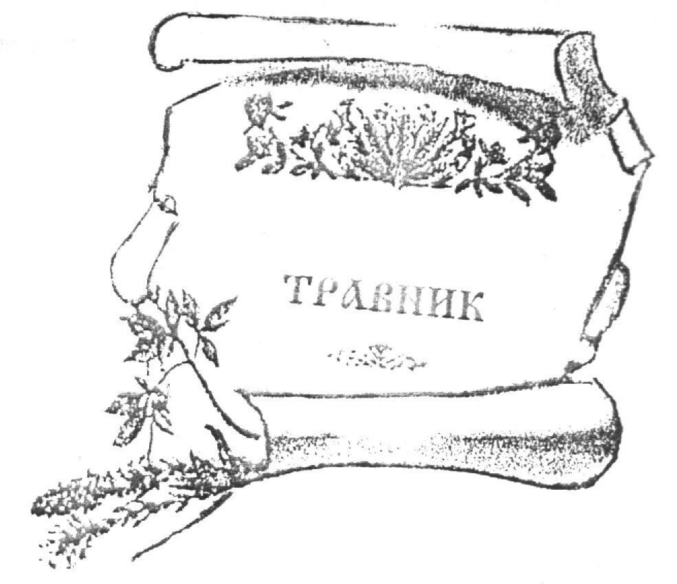 Книга о травах старинная. Буквы травник. Буквы травник. Травничество книги. Магические растения и травы книга.