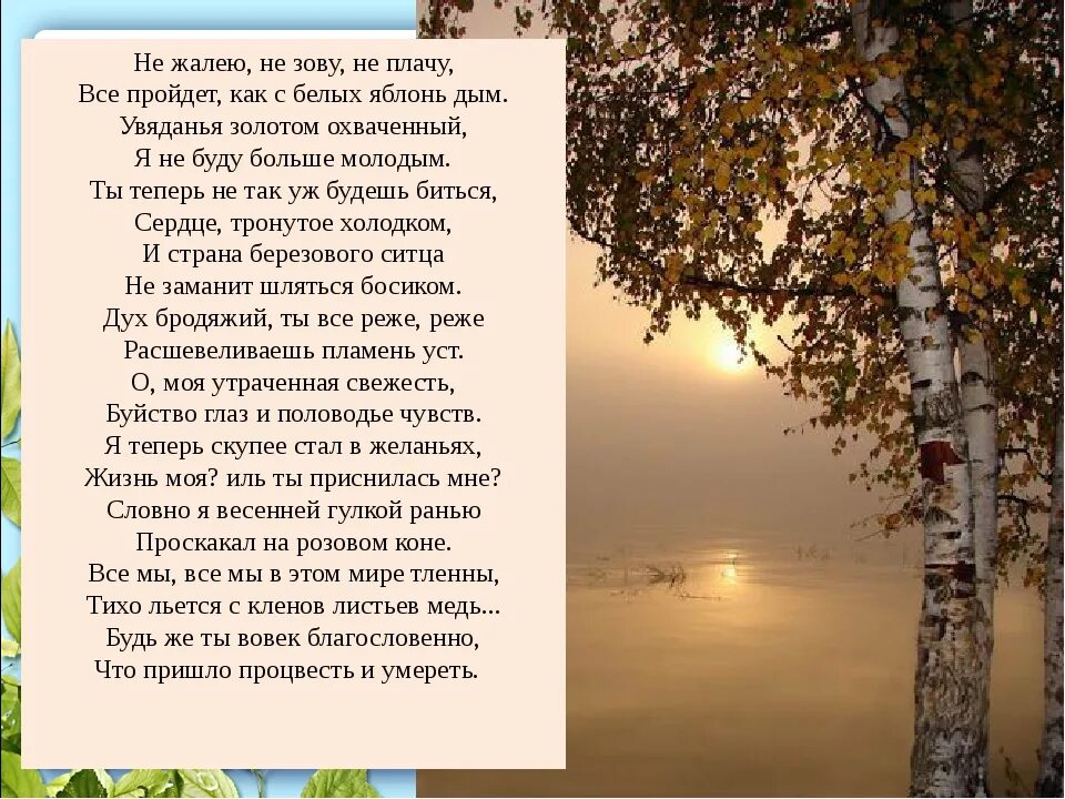 Не жалейте не зовите