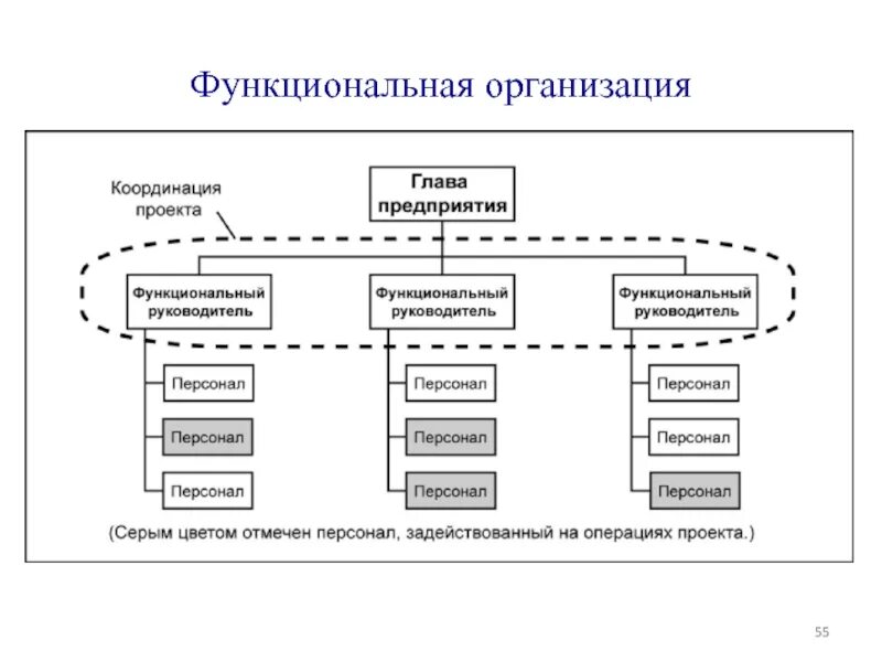 Функциональная организация. Организационно-функциональная модель. Организационная модель. Организационно-функциональная модель компании. Функциональная организация организмов