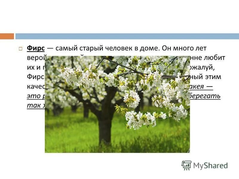 Вишневый сад символ россии. Символ вишневого сада для героев. Фирс о Вишневом саде цитаты. Фирс вишневый сад.