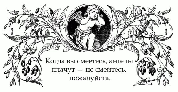 Смех ангела счастья. Смеющийся ангел картинки. День смеющихся ангелов. Ястреб книга. Ангелы рождество футажи.