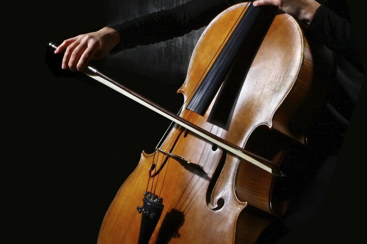 Быстрая скрипка. Виолончель (chello hongmijoo ilga salinsagan, 2005). Контрабас музыкальный инструмент.