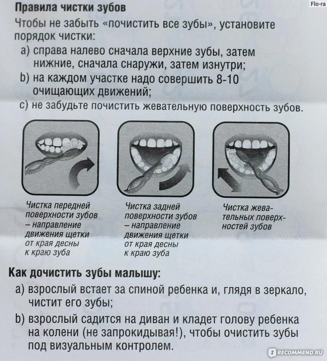 Сколько раз чистить зубы в день взрослым. Чистим зубы!.