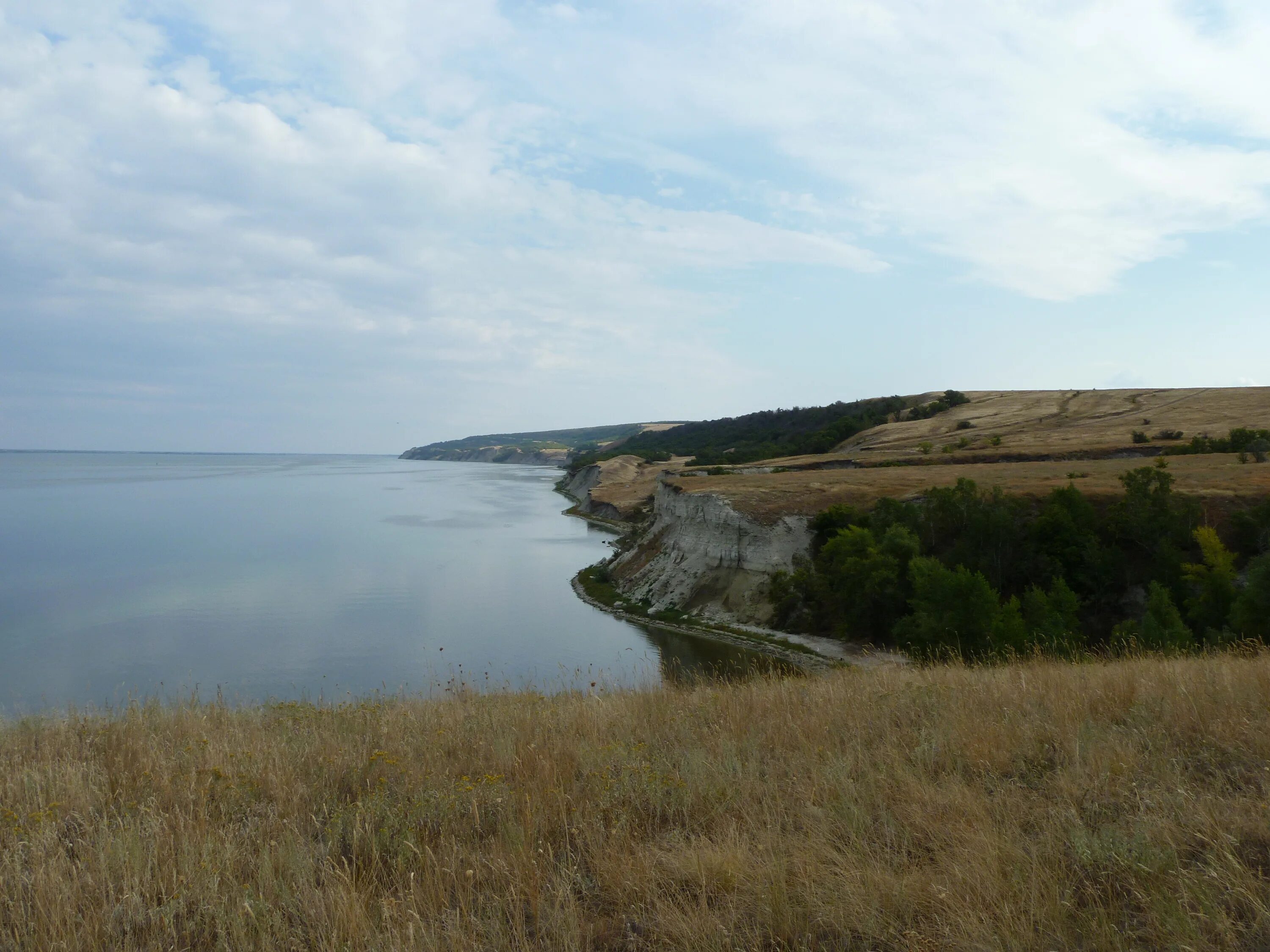 Село Кошели Саратовская область. Кошели Саратовская область Воскресенский район. Село Кошели Воскресенского района Саратовской области. Кошелевская коса Саратовская область. Кошели погода