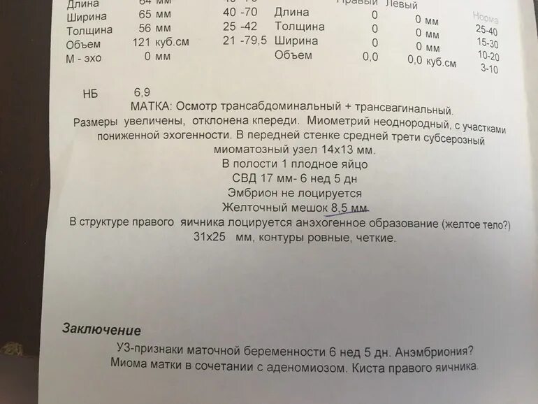 Желточный мешок при беременности 5,6 мм. Размер матки при беременности 5 недель норма. Диаметр желточного мешка 5 мм. Желточный мешок при беременности размеры по неделям. Желточный мешок при беременности размеры по неделям.