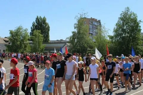 Спортивная камышин