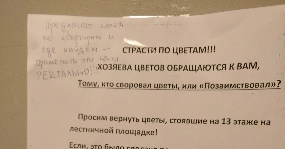 Украли цветы в подъезде объявление. Объявление о цветах в подъезде. Объявление чтобы не воровали цветы в подъезде. Объявления о воровстве цветов. Украденный как пишется