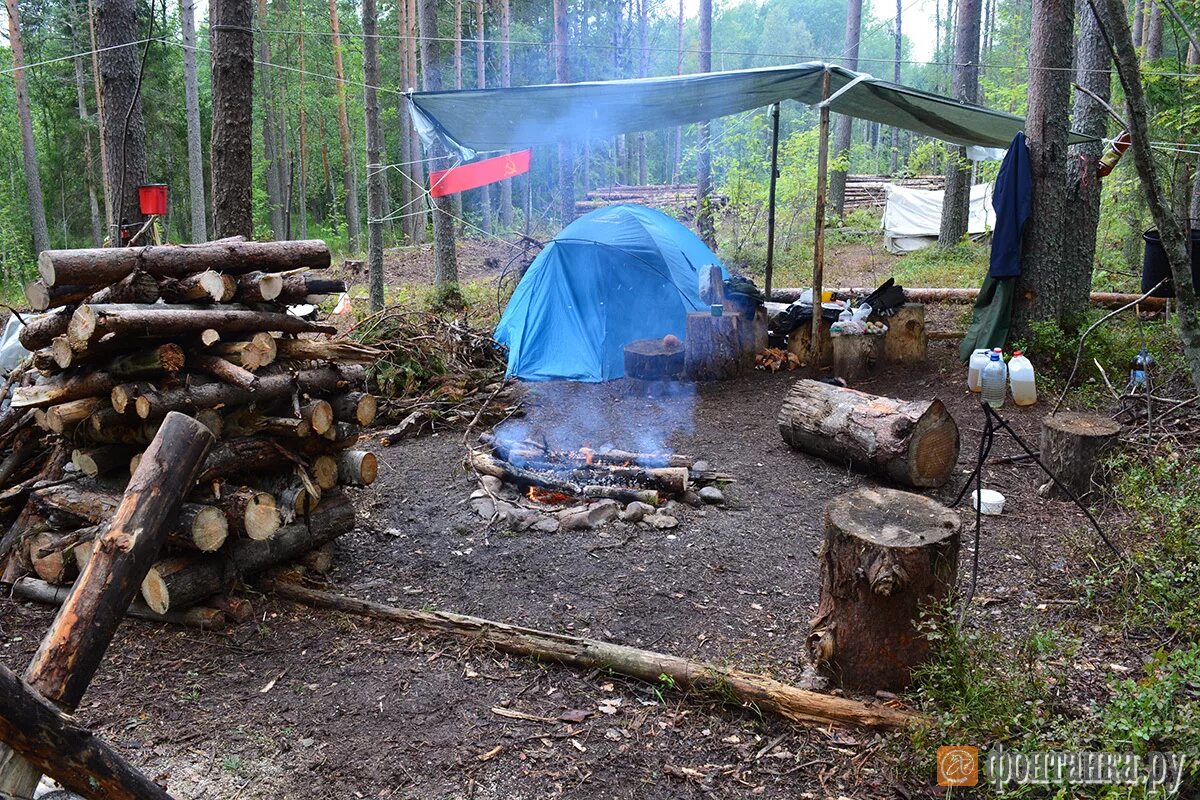 Туристический лагерь в лесу. Обустройство палаточного лагеря. Туристический Бивак в лесу. Обустроить лагерь в лесу. Человек устроен странно бивак не отличался