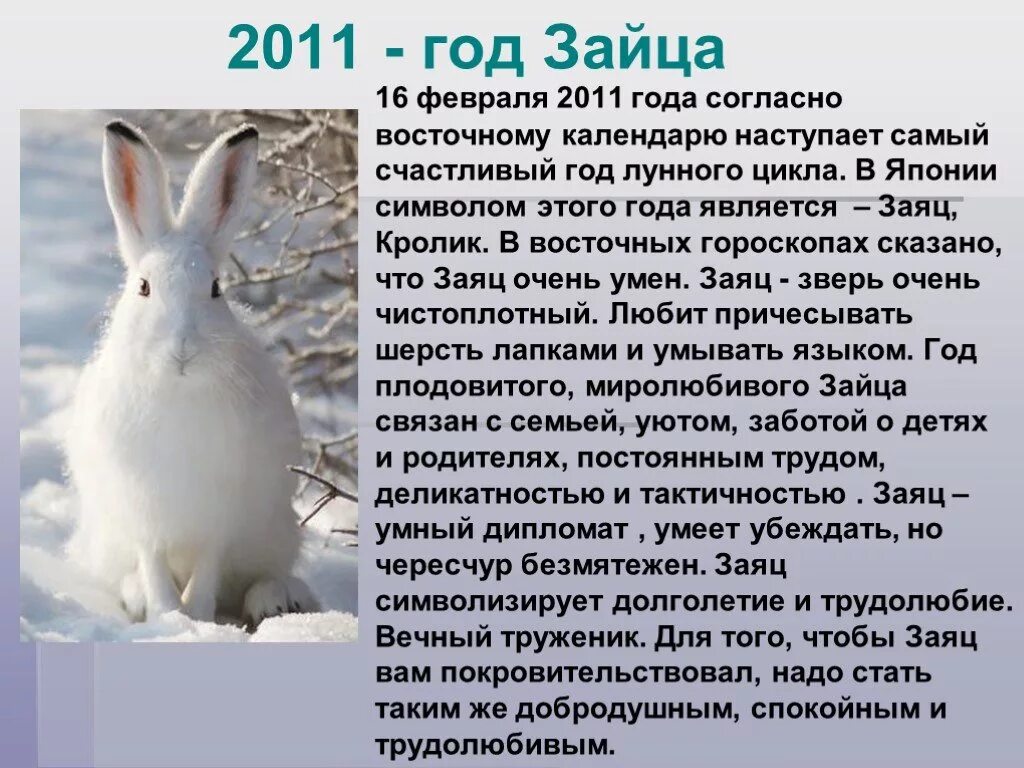 2011 год это год кого. 2011 Год какого животного по восточному календарю. 2011 Год зайца. 2011 Год год кого животного. 2011 Год кролика.