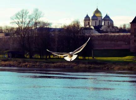 Воздух великий новгород