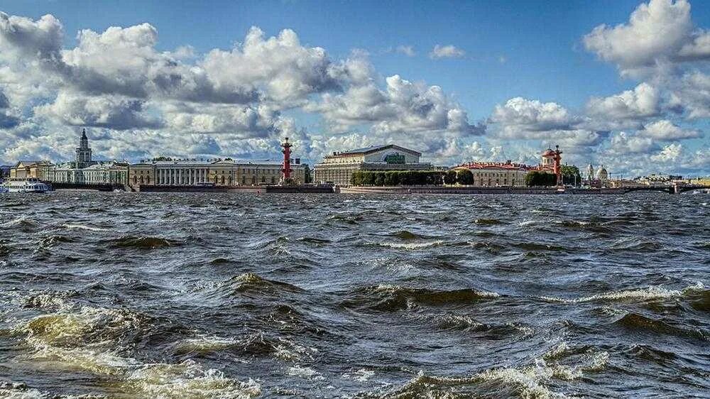 Вода васильевский остров. Васильевский остров Питер. Питер стрелка Васильевского острова.