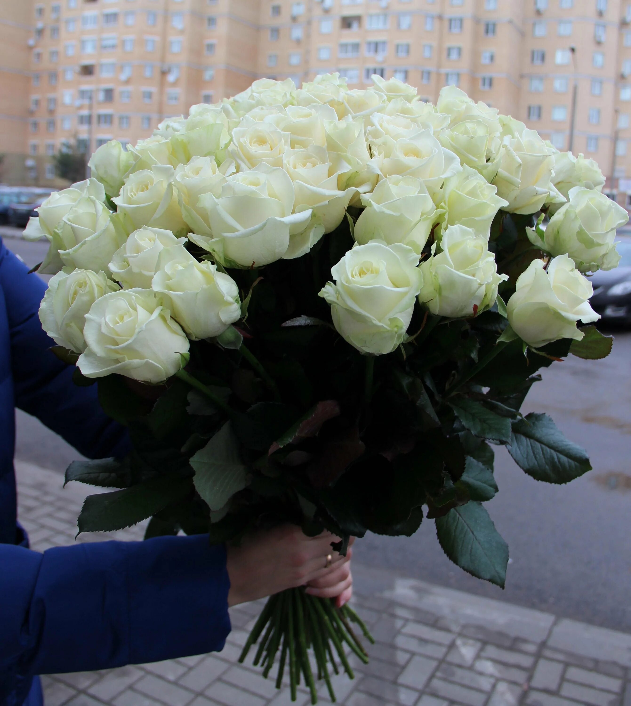Подарили белую розу что значит