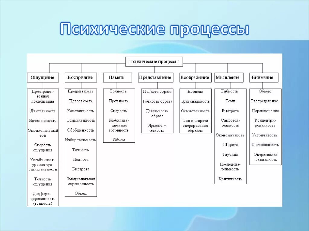 8 познавательных процессов. Классификация психических процессов Рубинштейн. Классификация психических процессов таблица. Приведите в соответствие психические процессы и их закономерности:. Общая психология психические процессы.