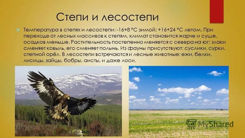 Лесостепи и степи температура. Лесостепи и степи температура. Осадки в лесостепи. Осадки в лесостепи и степи. Степи и лесостепи воды.