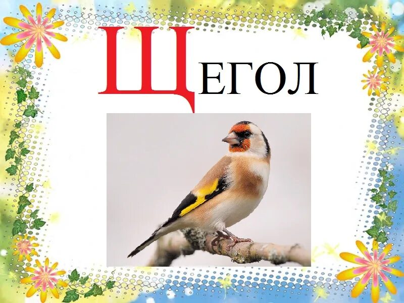 Щ х ц