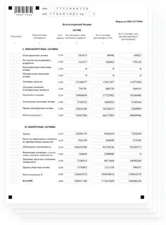 Бухгалтерская отчетность за 2021 год