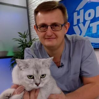 Ветеринар красноярск