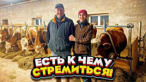 Молодая ферма новое видео