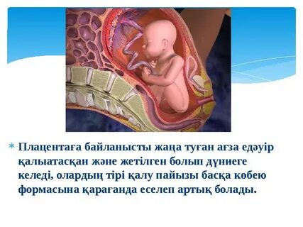 Әдемі жалаңаш жігіттер видеосы