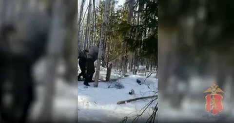 Они выложили видео