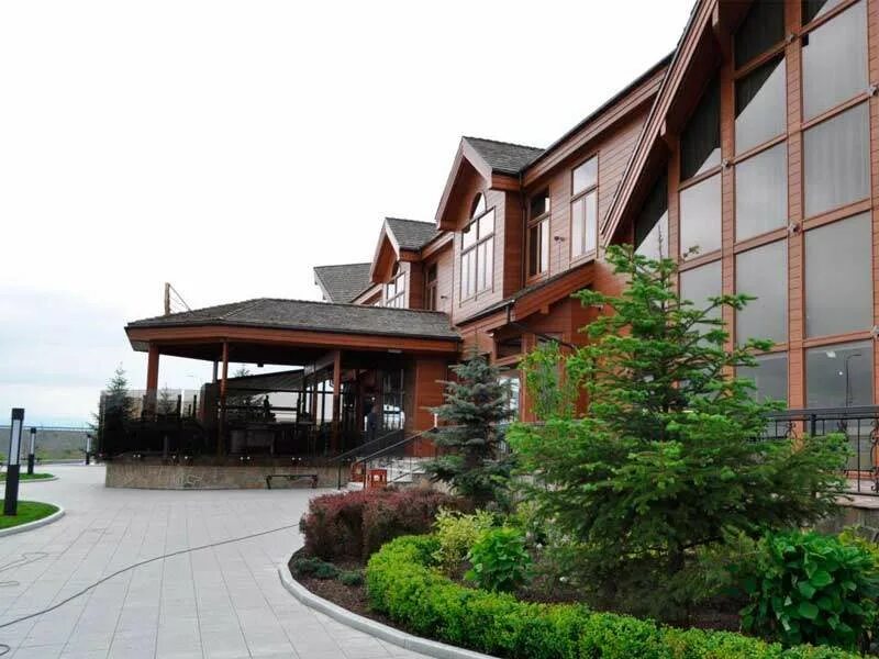 Уссурийская тайга кедр. Владивосток ул станюковича 49. Кедр холл владивосток. Кедр владивосток. Владивосток природа деревья.