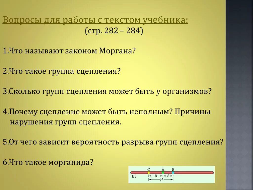 Количество групп сцепления равно. Что называют группой сцепления. Сколько групп сцепления. Группы сцепления у организмов. Сколько групп сцепления у человека.