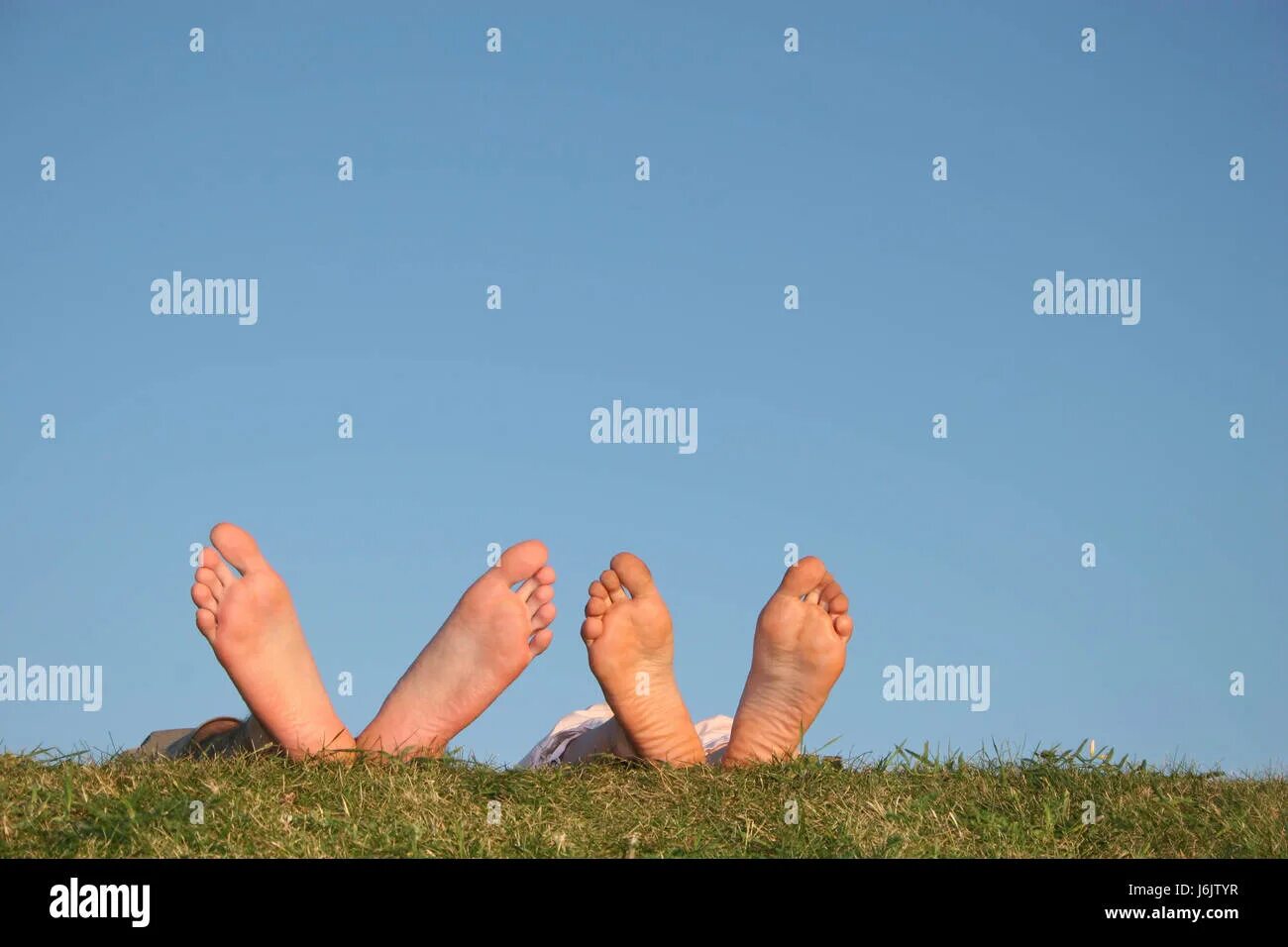 Три пары ног у. Стопы на траве. Ноги пар. Две пары ног на траве фото. Фото две пары ног.
