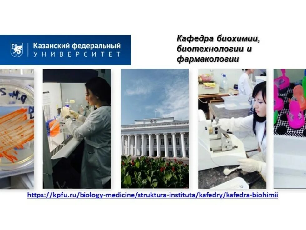 Биотехнологии в медицине презентация. Вклад биотехнологии в медицине. Вклад биотехнологии в медицине. Значение биотехнологии в жизни человека. Вклад биотехнологии в медицине.