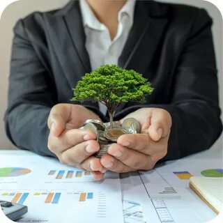 Financial environment