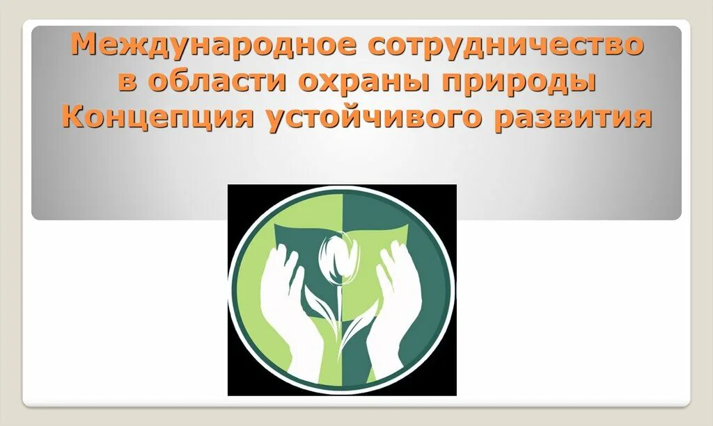 Комитет по охране природы. Международные сотрудничества охраны природы. Международные взаимодействия по защите природы. Международное сотрудничество в области охраны природы. Международное сотрудничество экология.