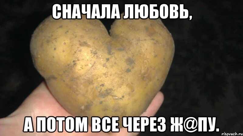 Любовь сперва