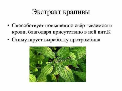 Жидкая крапива