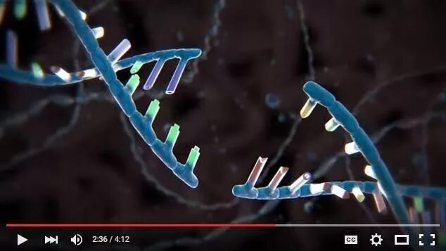 Разрывы цепи днк. CRISPR-cas9 animation. Гены репарации ДНК. Гифка CRISPR/cas9. CRISPR cas9 под микроскопом.